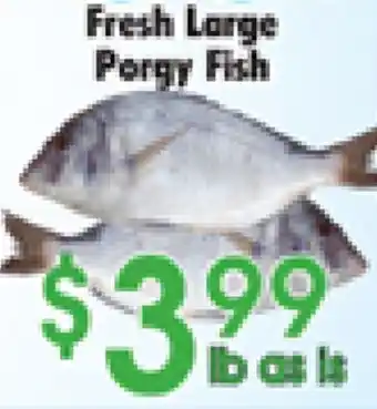 Danforth Food Market Fresh Large Porgy Fish offer