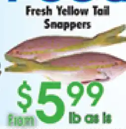 Danforth Food Market Fresh Yellow Tail Snappers offer