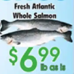 Danforth Food Market Fresh Atlantic Whole Salmon offer