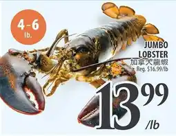 Al Premium Food Mart JUMBO LOBSTER offer