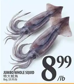 Al Premium Food Mart JUMBO WHOLE SQUID offer