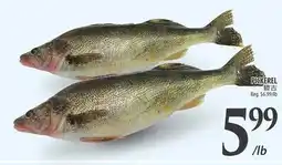 Al Premium Food Mart PICKEREL offer