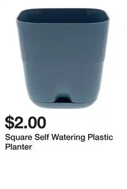Dollarama Square Self Watering Plastic Planter offer