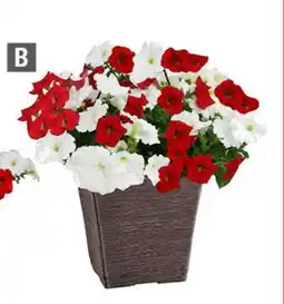 Home Depot square Planter offer