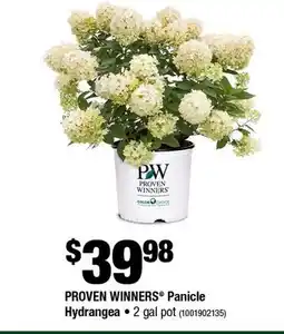 Home Depot PROVEN WINNERS PANICLES HYDRANGEA 2 GAL POT offer