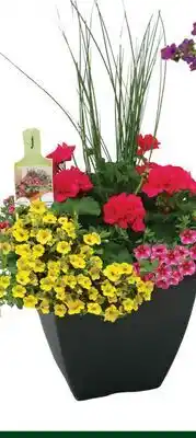 Home Depot Siena square planter offer