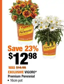 Home Depot Vigoro premium perennial 16cm pot offer
