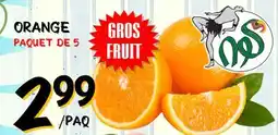 Marche Salaberry ORANGE offer