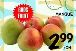 Marche Salaberry MANGUE offer