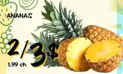 Marche Salaberry ANANAS offer