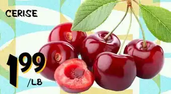 Marche Salaberry CERISE offer