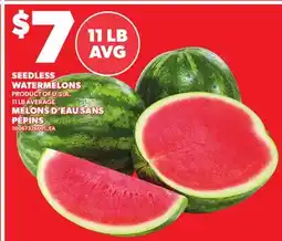 Independent Grocer SEEDLESS WATERMELONS, 11 LB AVERAGE offer