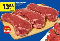 Real Canadian Superstore Striploin steak offer
