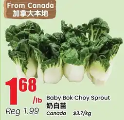 Btrust Supermarket Baby Bok Choy Sprout offer