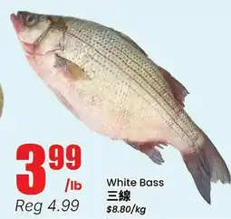 Btrust Supermarket White Bass offer