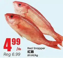 Btrust Supermarket Red Snapper offer