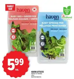 Metro HAVEN LETTUCES offer