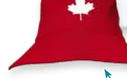 Party City Canada Day Maple leaf Red Bucket Hat offer