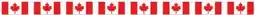 Party City Canada Day Hanging Garland offer