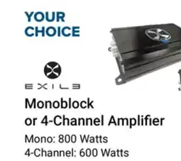 Visions Electronics EXILE Monoblock or 4-Channel Amplifier offer
