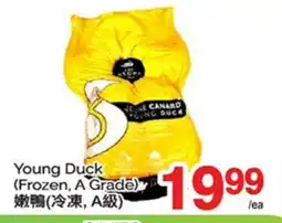 T&T Supermarket Young Duck offer