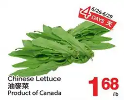 T&T Supermarket CHINESE LETTUCE offer