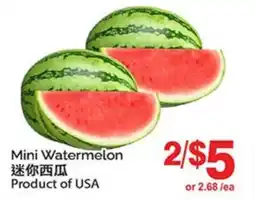 T&T Supermarket Mini Watermelon offer