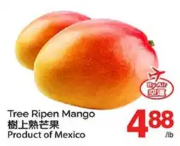 T&T Supermarket Tree Ripen Mango offer