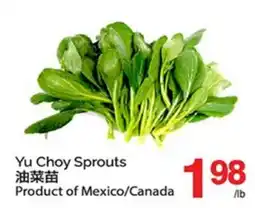 T&T Supermarket YU CHOY SPROUTS offer