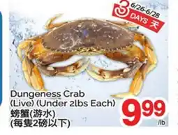 T&T Supermarket DUNGENESS CRAB (LIVE), (Under 2lbs Each) offer