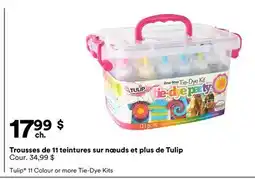 Michaels Trousse de 11 teintures sur nœuds et plus de Tulip offer