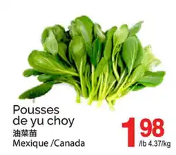 T&T Supermarket POUSSES DE YU CHOY offer