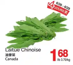 T&T Supermarket LAITUE CHINOISE offer