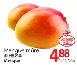 T&T Supermarket MANGUE MÛRE offer