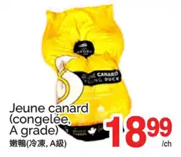 T&T Supermarket JEUNE CANARD (CONGELÉE, A GRADE) offer