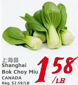 United Supermarket Shanghai Bok Choy Miu offer