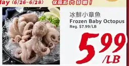 United Supermarket Frozen Baby Octopus offer