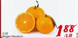 United Supermarket Wogon Mandarin offer