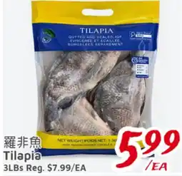 United Supermarket Tilapia offer