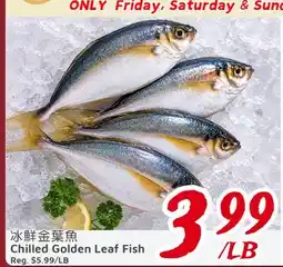 United Supermarket Chilled Golden Leaf Fish offer