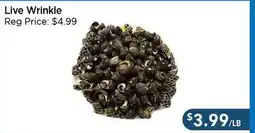 Blue Sky Supermarket Live Wrinkle offer