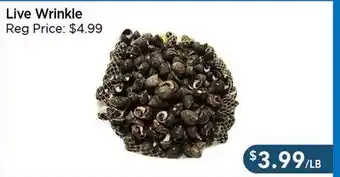 Blue Sky Supermarket Live Wrinkle offer