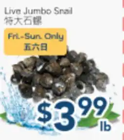 Oceans Fresh Food Market Live Jumbo Snail offer