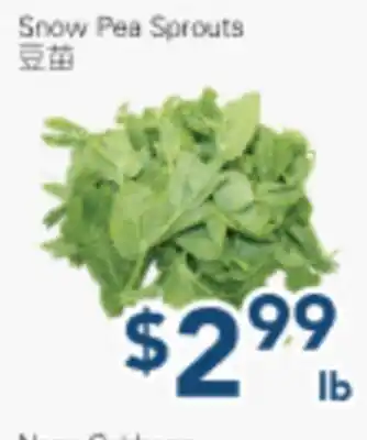 Oceans Fresh Food Market Snow Pea Sprouts offer