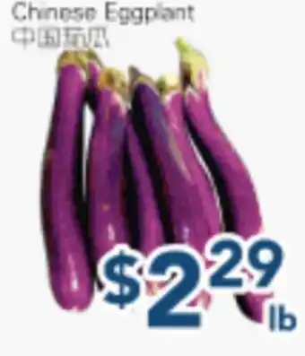 Oceans Fresh Food Market Chinese Eggplant offer