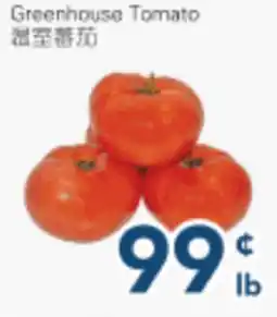 Oceans Fresh Food Market Greenhouse Tomato offer