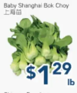 Oceans Fresh Food Market Baby Shanghai Bok Choy offer