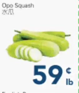 Oceans Fresh Food Market Opo Squash offer