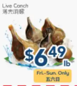Oceans Fresh Food Market Live Conch offer