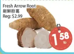 Fresh Palace Supermarket Fresh Arrow Root offer